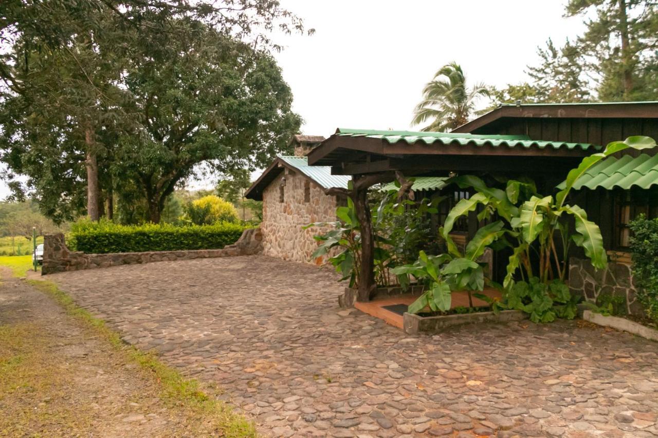 Malekus Mountain Lodge Aguas Claras  Exterior photo